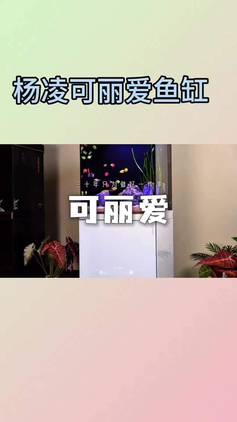 楊凌魚缸批發市場：楊凌魚缸批發市場從傳統零售向技術+服務模式轉型 楊凌魚缸批發市場：楊凌魚缸批發市場從傳統零售向技術+服務模式轉型 全國水族館企業名錄 第1張