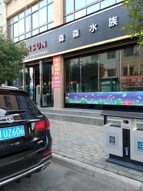 楊凌魚缸批發市場：楊凌魚缸批發市場從傳統零售向技術+服務模式轉型 楊凌魚缸批發市場：楊凌魚缸批發市場從傳統零售向技術+服務模式轉型 全國水族館企業名錄 第9張