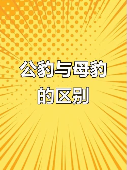 皇冠豹的公母圖片：皇冠豹性別二態性特征對比展示其公母個體典型差異