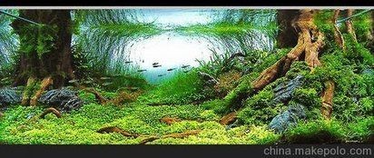 瀘州魚缸定做：瀘州大型亞克力魚缸制作公司
