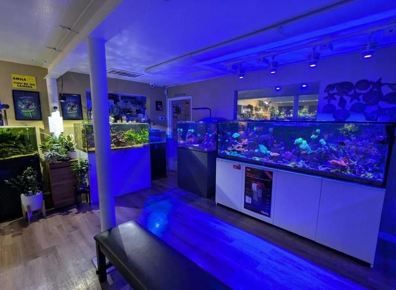 林芝水族店：*《林芝水族店》* 林芝水族店：*《林芝水族店》* 全國水族館企業名錄 第2張
