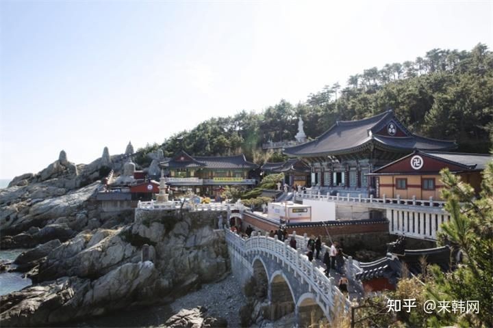 海東水族店：*《海東水族店》*水族店一日游