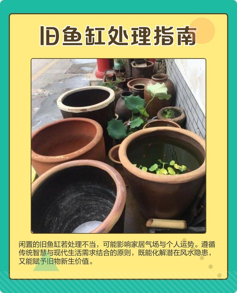 舊魚缸怎么扔最吉利：舊魚缸怎么處理最吉利