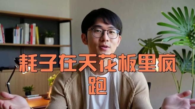 家里吊頂里面有老鼠怎么辦：吊頂上有老鼠怎么辦