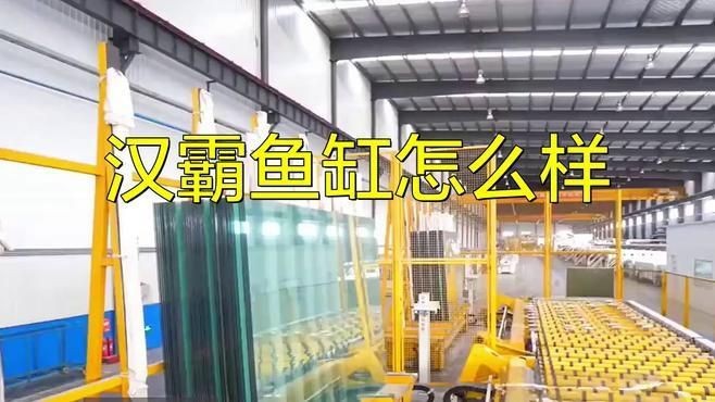 漢霸魚缸是雜牌還是名牌【家用魚缸十大名牌排名】 漢霸魚缸是雜牌還是名牌【家用魚缸十大名牌排名】 龍魚論壇 第6張