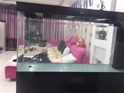 漢霸魚缸是雜牌還是名牌【家用魚缸十大名牌排名】 漢霸魚缸是雜牌還是名牌【家用魚缸十大名牌排名】 龍魚論壇 第8張