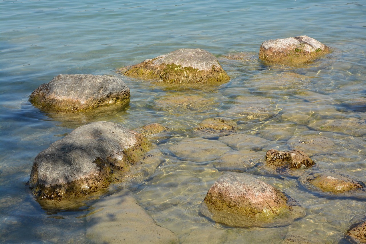 龍魚用什么魚缸比較好養殖：龍魚用什么魚缸比較好養殖呢，龍魚最適宜魚缸的選擇