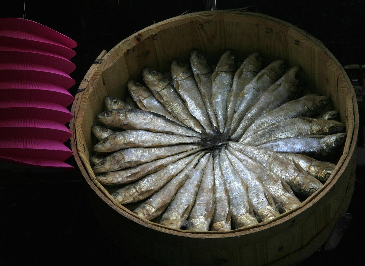 哪種龍魚鱗片疾病最容易惡化？，哪種龍魚鱗片疾病最易惡化？