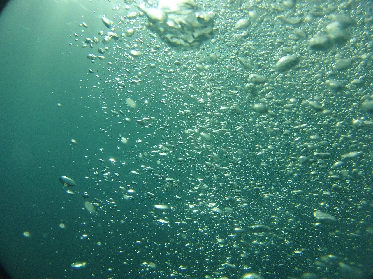 龍魚需要打氧氣嗎，《龍魚需要增長和游動嗎》隨著魚體型增長和游動頻率加快