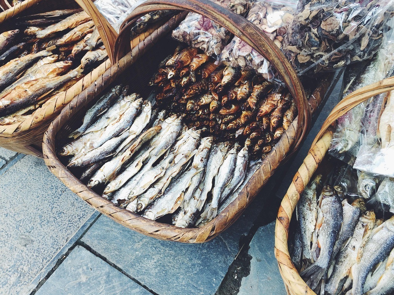 龍魚(yú)身上被咬爛,還能長(zhǎng)好嗎，《龍魚(yú)身上被咬爛