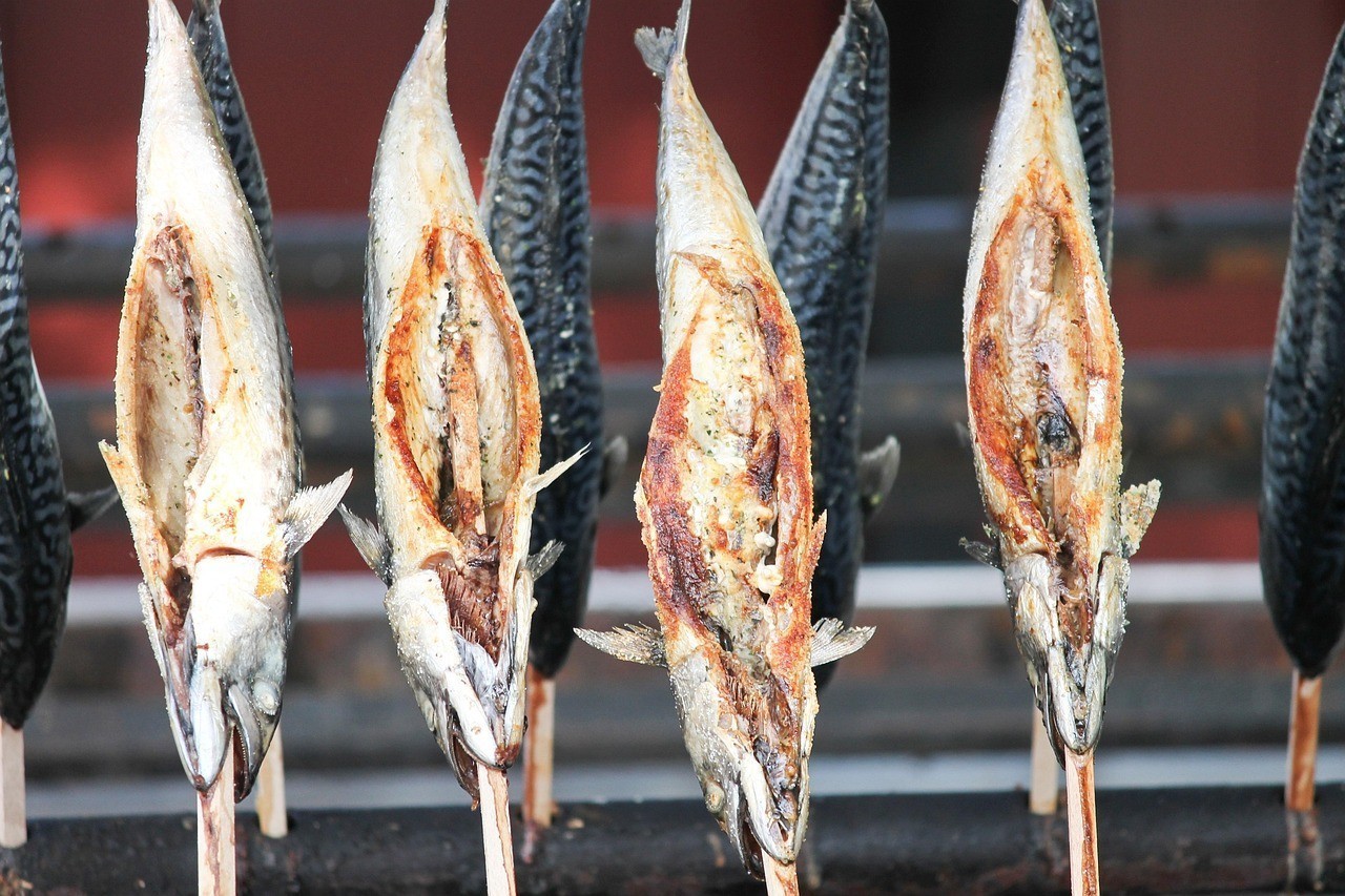 龍魚(yú)吃食咬一口就吐的原因，《龍魚(yú)食療康復(fù)指南》《龍魚(yú)食療康復(fù)指南》