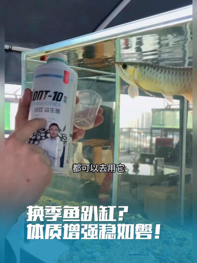 紅龍魚生長緩慢怎么辦？，《紅龍魚生長緩慢怎么辦》紅龍魚生長緩慢怎么辦