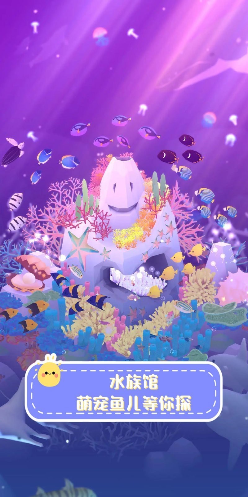 衡南水族店|衡南縣云集可麗水族店哪家更大云集可麗水族店值得關(guān)注 衡南水族店|衡南縣云集可麗水族店哪家更大云集可麗水族店值得關(guān)注 全國水族館企業(yè)名錄 第1張