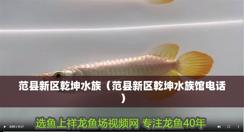 范縣龍魚店|濮陽范縣龍魚店有哪些龍魚品種乾坤水族館的營業時間 范縣龍魚店|濮陽范縣龍魚店有哪些龍魚品種乾坤水族館的營業時間 全國水族館企業名錄 第1張