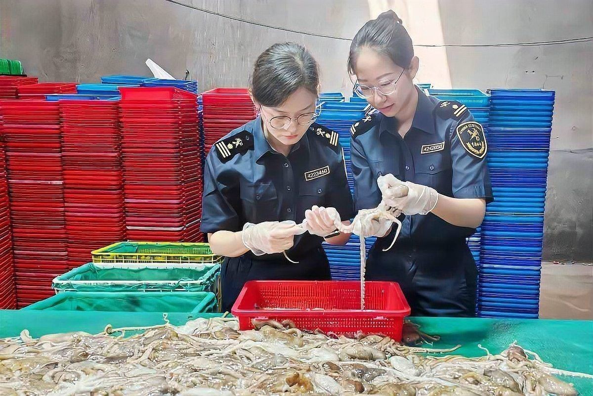 榮成龍魚店|廣州聚龍灣龍魚店哪家口碑最好榮成龍魚店價格是多少