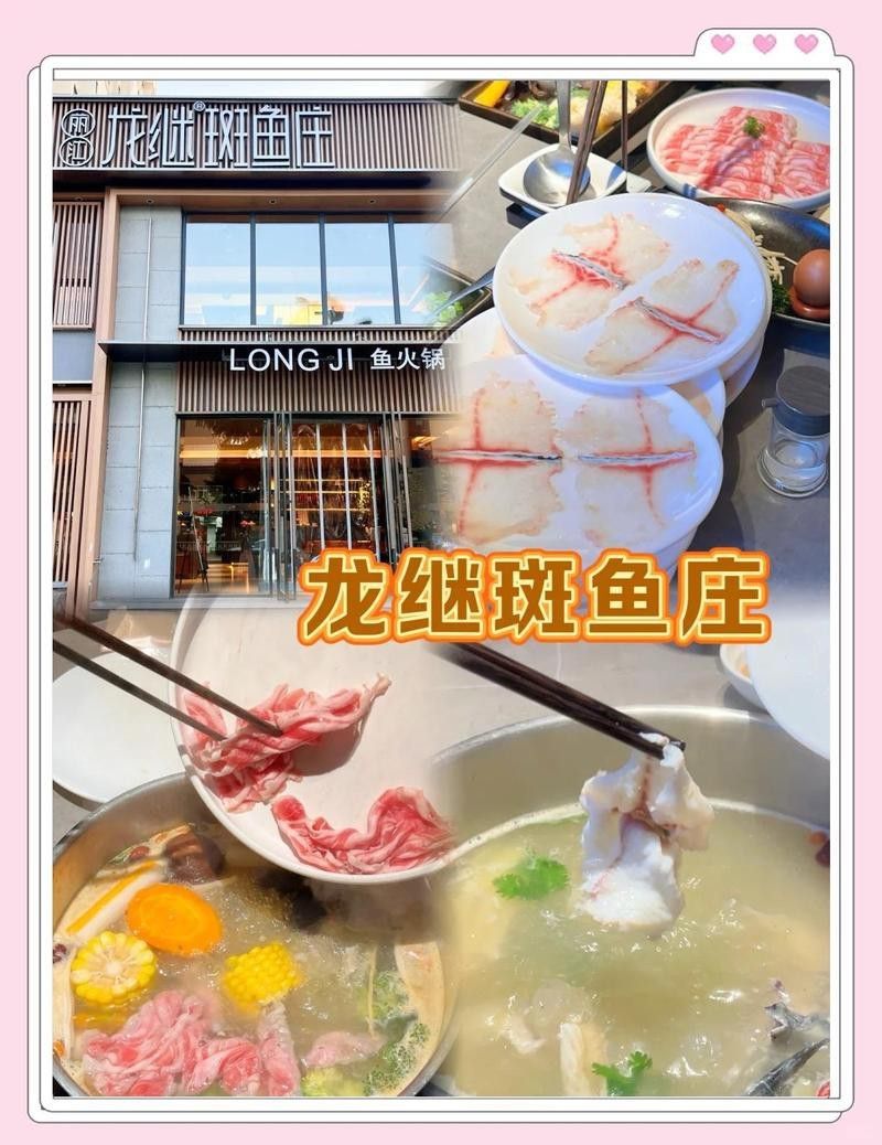 榮成龍魚店|廣州聚龍灣龍魚店哪家口碑最好榮成龍魚店價格是多少