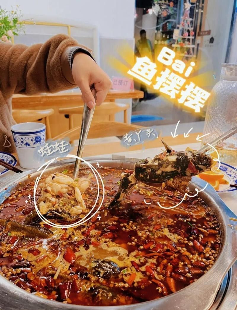 浮梁龍魚(yú)店|浮梁“魚(yú)擺擺”探店