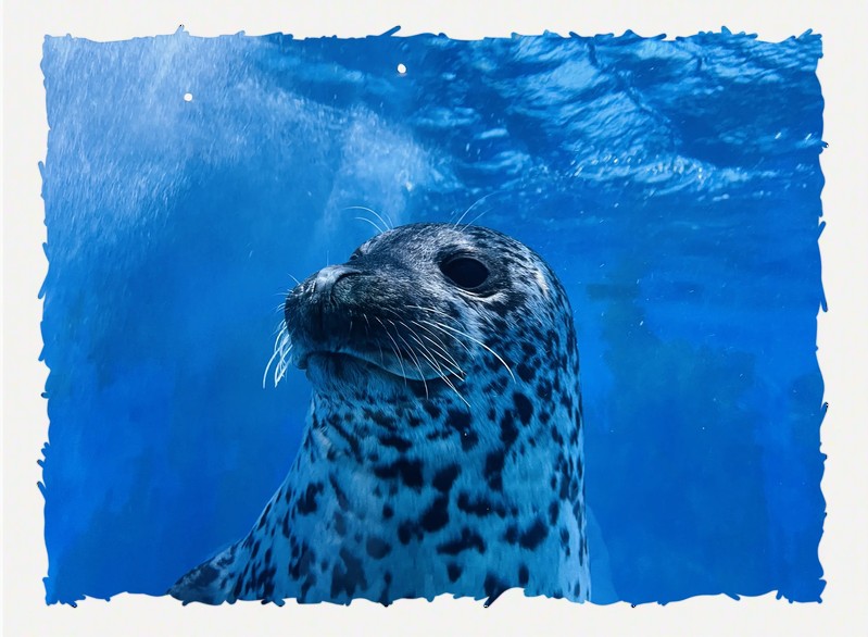 泰州水族店|泰州擁有多家特色鮮明的水族店推薦幾家口碑好的泰州水族店 泰州水族店|泰州擁有多家特色鮮明的水族店推薦幾家口碑好的泰州水族店 全國水族館企業(yè)名錄 第3張