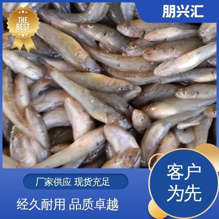 虎魚多少錢一條|虎魚價格一般多少錢一條 虎魚多少錢一條|虎魚價格一般多少錢一條 龍魚論壇 第4張