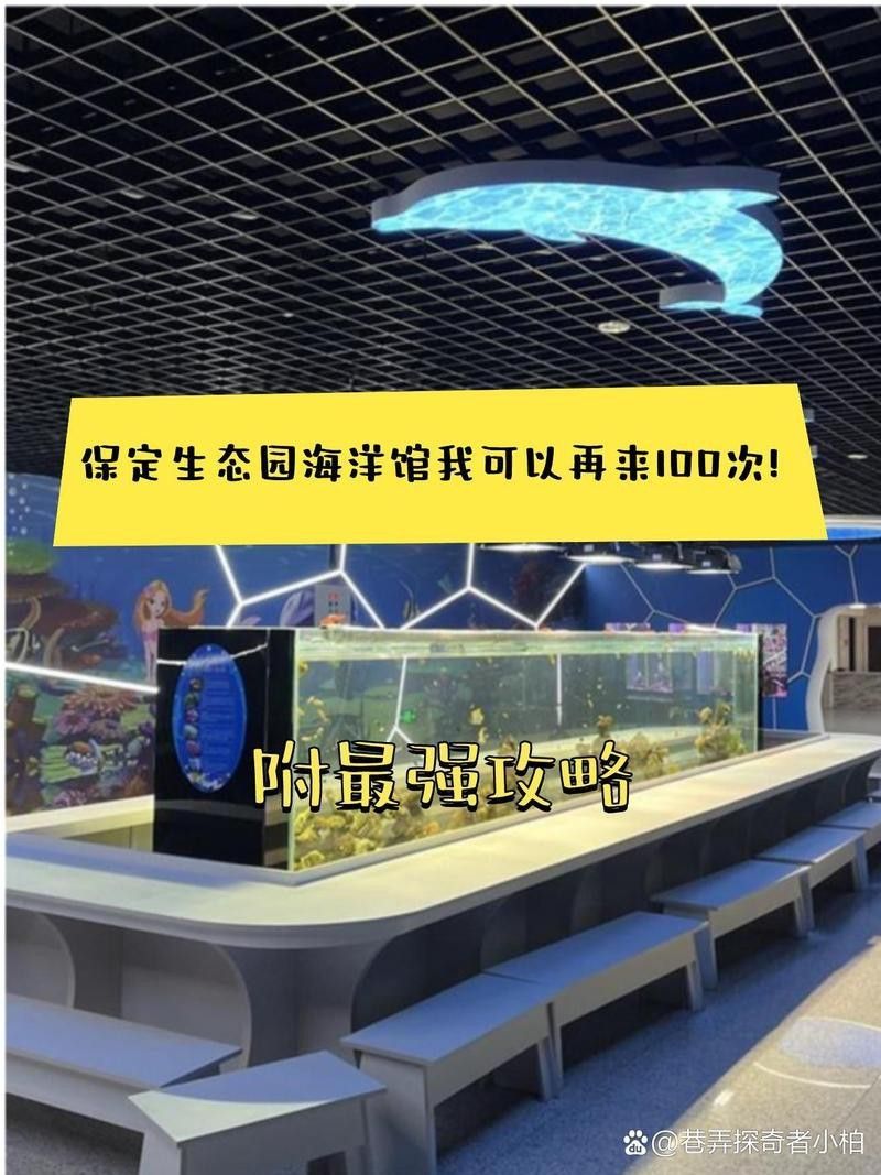 競秀水族店|保定市競秀區(qū)水族店哪個口碑最好