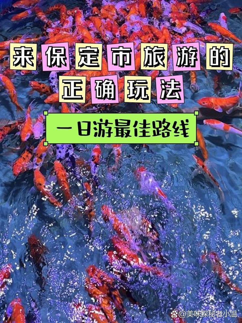 競秀水族店|保定市競秀區(qū)水族店哪個口碑最好