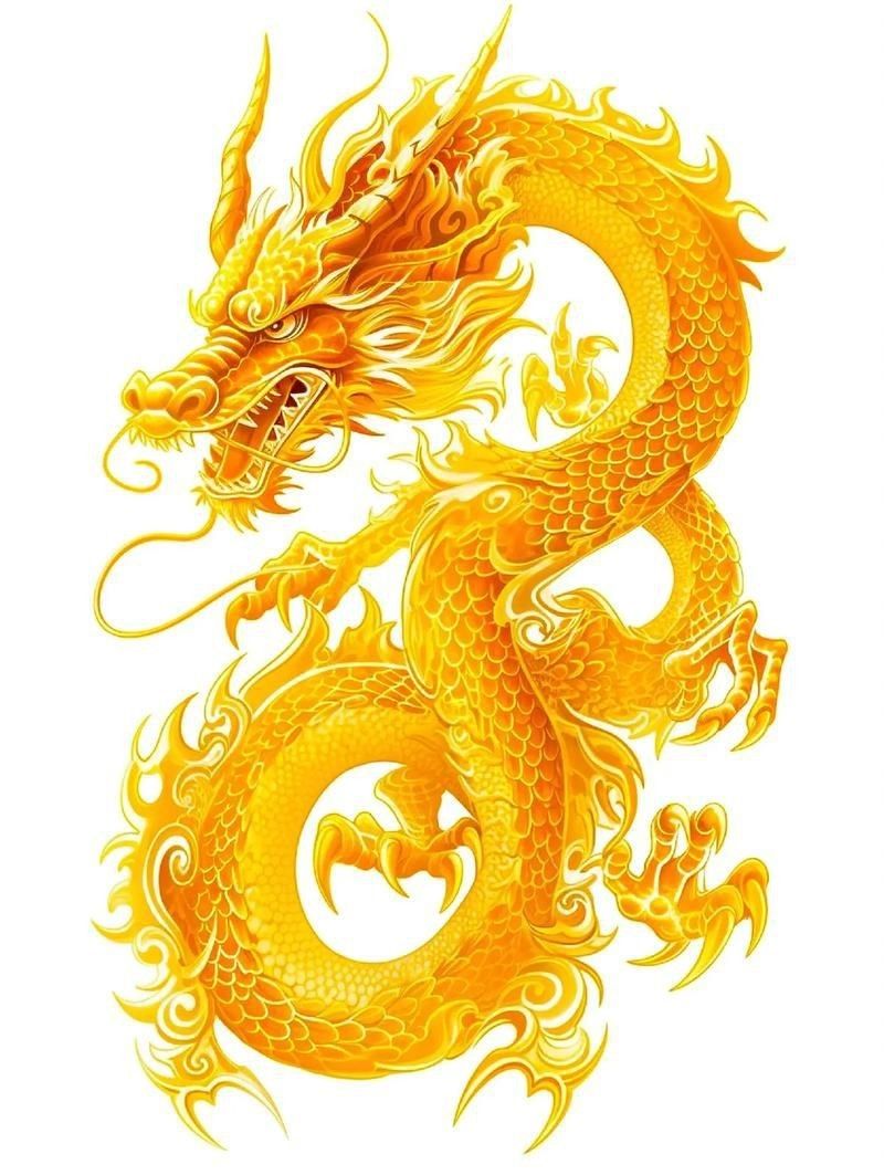 龍的圖片大全|“龍的圖片大全”