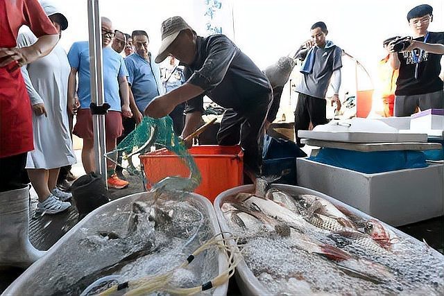 陽明龍魚店|杭州陽明龍魚店)美食種草出行攻略