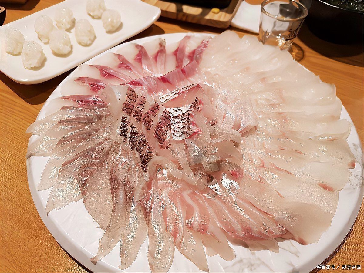 藍帆三間魚容易得白血病嗎|藍帆三間魚容易得白血病媽媽們購買時需警惕這4種魚 龍魚百科 第14張 藍帆三間魚容易得白血病嗎|藍帆三間魚容易得白血病媽媽們購買時需警惕這4種魚 藍帆三間魚容易得白血病嗎|藍帆三間魚容易得白血病媽媽們購買時需警惕這4種魚 龍魚百科 第14張