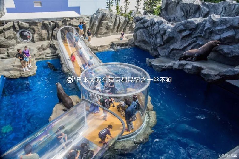 曲麻萊水族店|曲麻萊縣有哪些水族店 曲麻萊水族店|曲麻萊縣有哪些水族店 全國水族館企業名錄 第4張