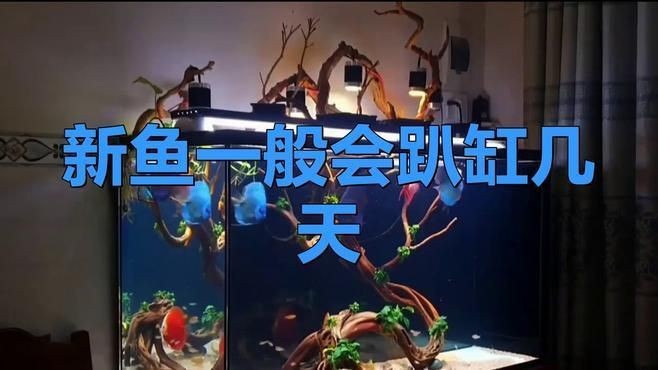 魚兒趴缸多久會死|彩虹雷龍趴缸要多久東北小颯一般會趴缸幾天知知行