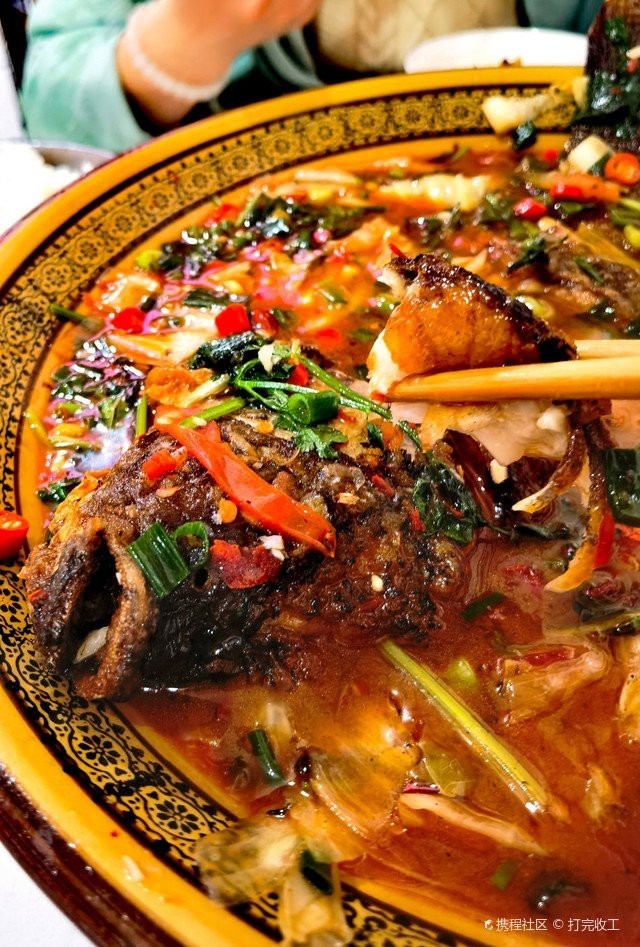 鹽邊龍魚店|攀枝花鹽邊龍魚店 鹽邊龍魚店|攀枝花鹽邊龍魚店 全國水族館企業名錄 第1張