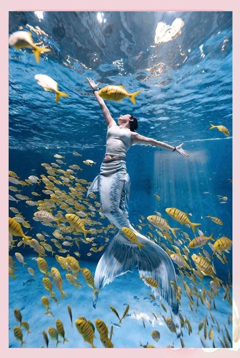 紅尾美人魚最忌三種東西|關于紅尾美人魚的飼養(yǎng)禁忌