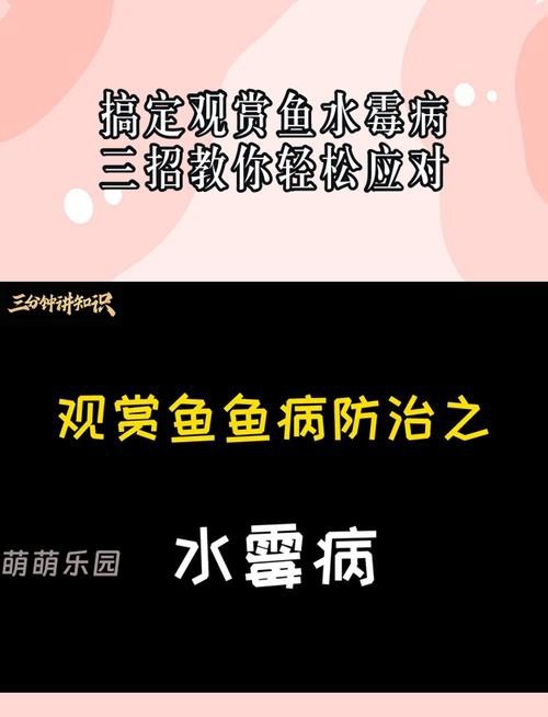 魚得水霉病圖片|喵小蚊說三農,觀賞魚水霉病的前期征兆會是什么樣