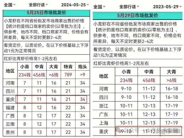 青龍蝦多少錢一斤|2019年8月青龍蝦價格走勢分析