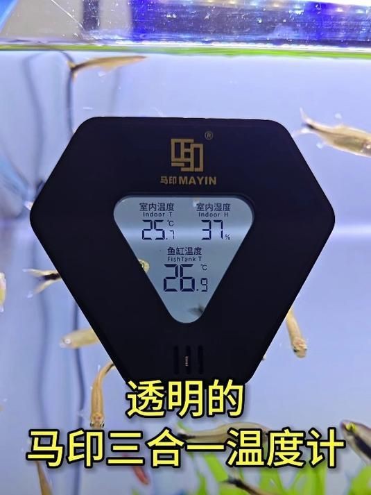 馬印牌|“馬印牌”關(guān)聯(lián)多個(gè)領(lǐng)域的品牌實(shí)體，在水族行業(yè)實(shí)體