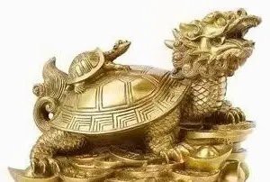 龍龜最旺三種人|龍龜的風水作用與擺放指南 龍龜最旺三種人|龍龜的風水作用與擺放指南 龍魚論壇 第5張