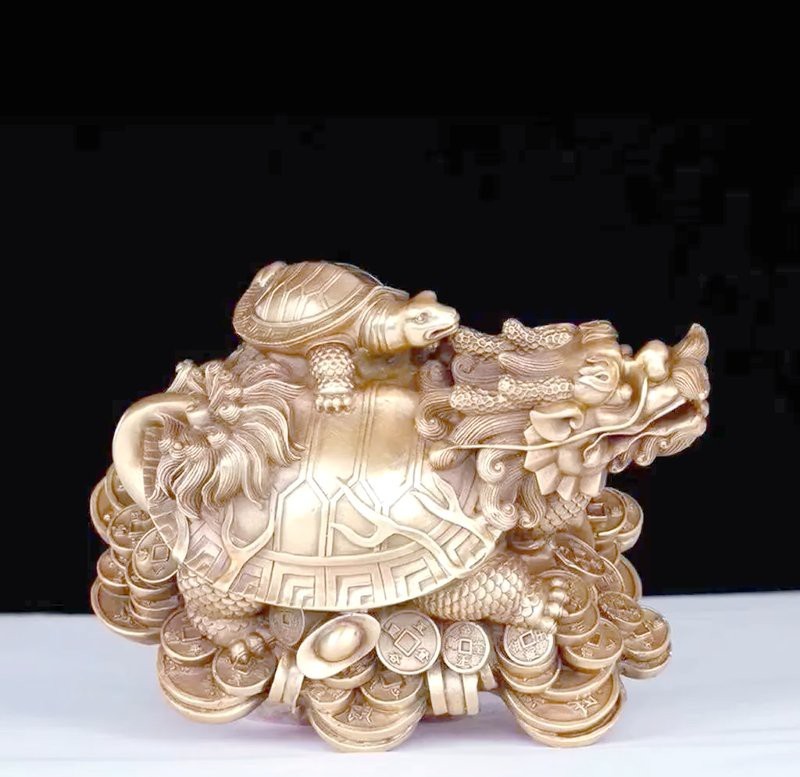 龍龜最旺三種人|龍龜的風水作用與擺放指南 龍龜最旺三種人|龍龜的風水作用與擺放指南 龍魚論壇 第7張