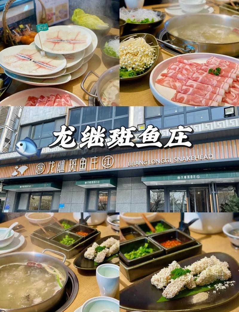 泰安龍魚店|泰安有沒有專業(yè)的龍魚店鋪推薦