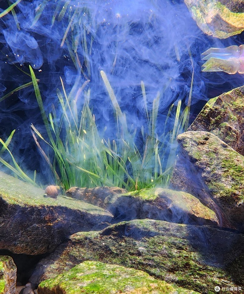 家庭魚缸種類大全|8款高性價比魚缸推薦，適合多場景使用 家庭魚缸種類大全|8款高性價比魚缸推薦，適合多場景使用 龍魚論壇 第1張