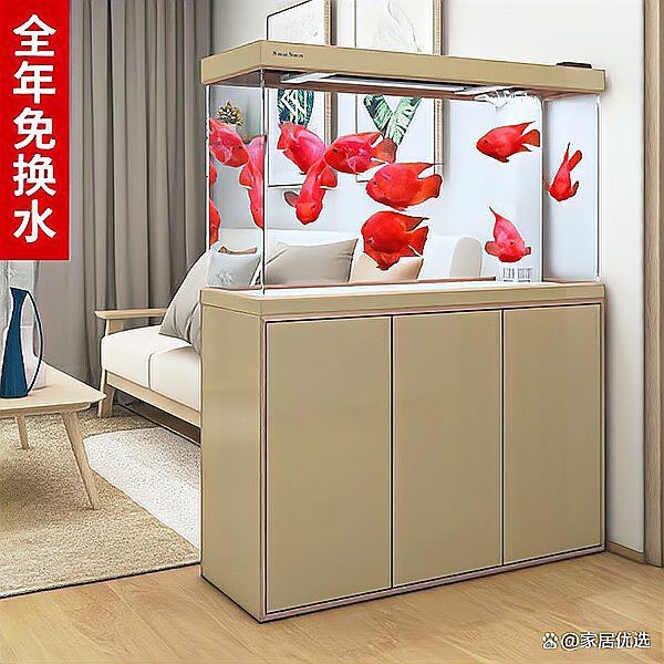 家庭魚缸種類大全|8款高性價比魚缸推薦，適合多場景使用 家庭魚缸種類大全|8款高性價比魚缸推薦，適合多場景使用 龍魚論壇 第7張