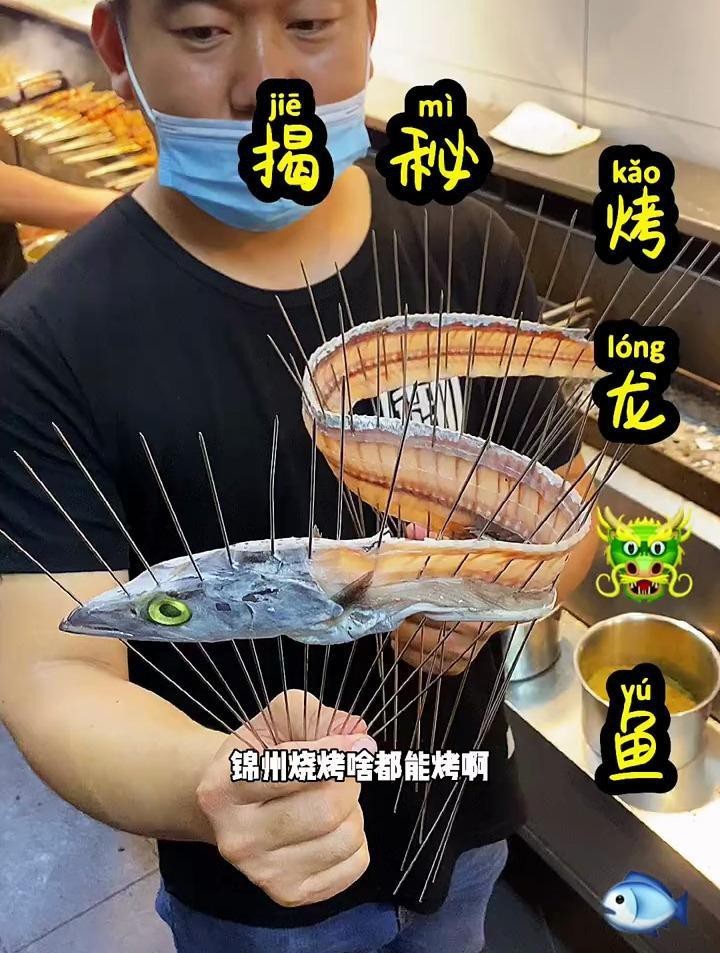 錦州龍魚店|錦州有哪些知名的龍魚店