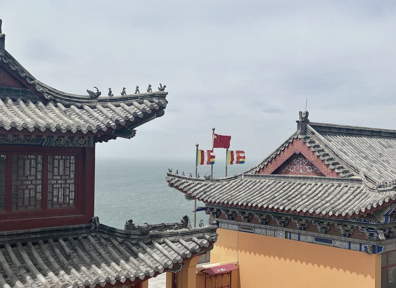錦州龍魚店|錦州有哪些知名的龍魚店