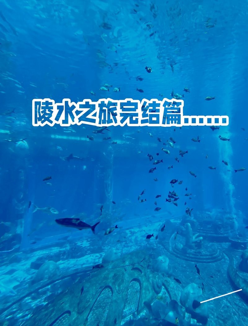 陵水水族店|海南陵<strong><mark>水富</mark></strong>力南海秘境水族館有特色漁排體驗在哪里