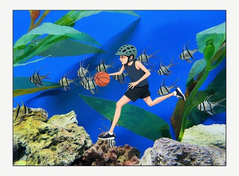 龍門水族店|全國多家\