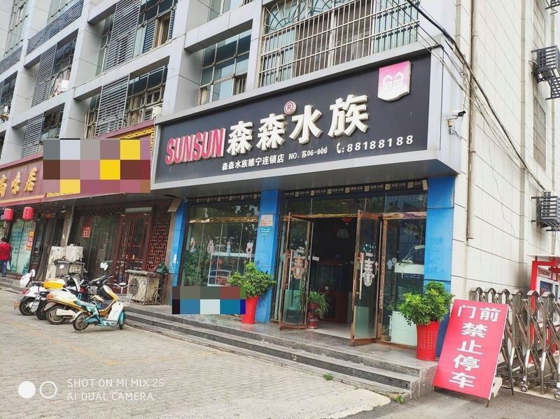 睢寧水族店|江蘇徐州睢寧縣森森水族（睢寧店）口碑最好的水族店 睢寧水族店|江蘇徐州睢寧縣森森水族（睢寧店）口碑最好的水族店 全國水族館企業名錄 第1張