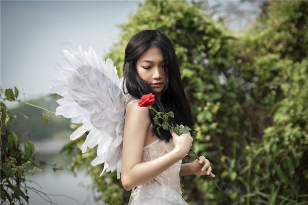 金龍命一般人壓不住嗎|《金龍命一般人壓不住嗎》 龍魚百科 第1張 金龍命一般人壓不住嗎|《金龍命一般人壓不住嗎》 金龍命一般人壓不住嗎|《金龍命一般人壓不住嗎》 龍魚百科 第1張