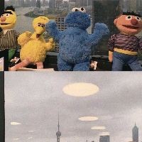 金龍命一般人壓不住嗎|《金龍命一般人壓不住嗎》 龍魚百科 第8張 金龍命一般人壓不住嗎|《金龍命一般人壓不住嗎》 金龍命一般人壓不住嗎|《金龍命一般人壓不住嗎》 龍魚百科 第8張