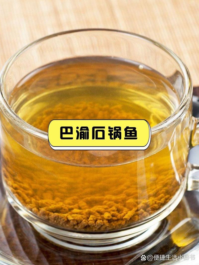 鹽池龍魚店|關于“鹽池龍魚店”的公開資料