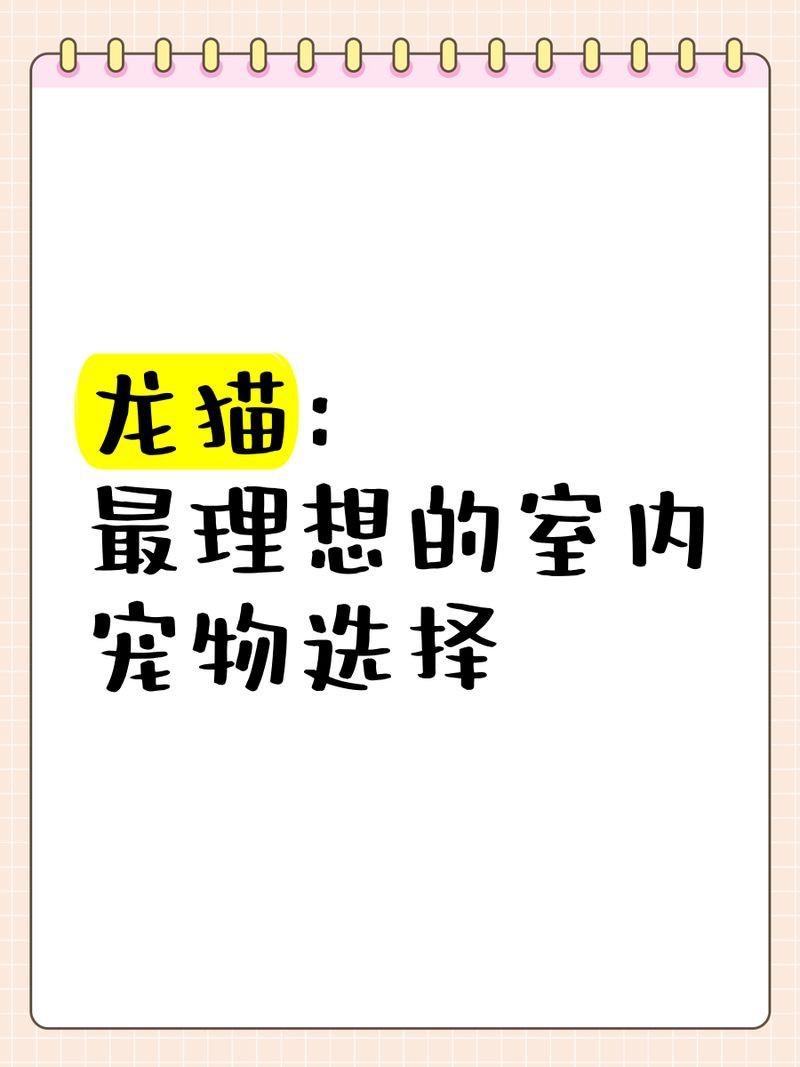 龍貓需要多大的籠子？|養龍貓需要注意哪些細節