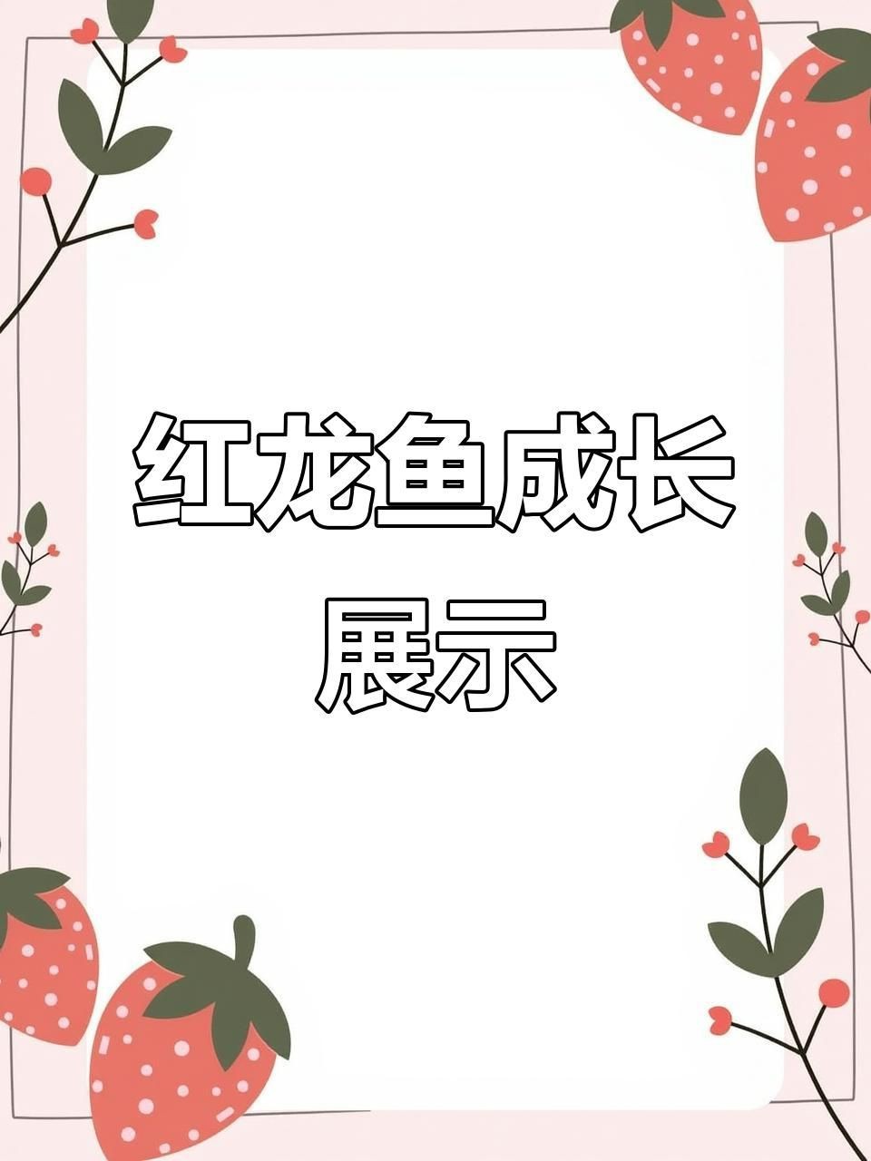 紅龍魚苗的成長記錄|《紅龍魚苗的成長記錄》